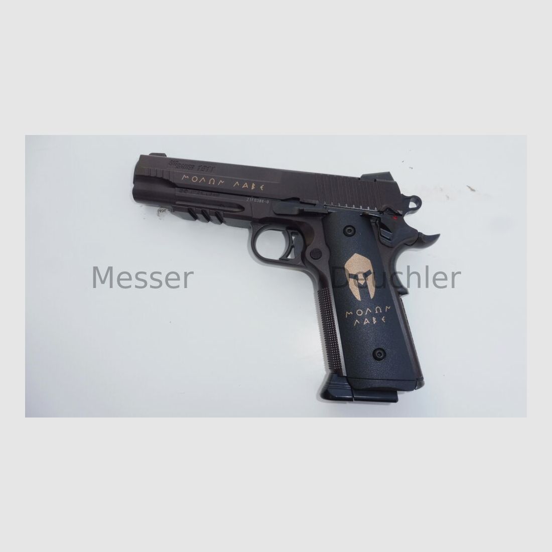 Sig Sauer 1911 Spartan
