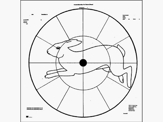 Anschuss-Scheibe, Hase DJV - A18, 16 Felder-Scheibe