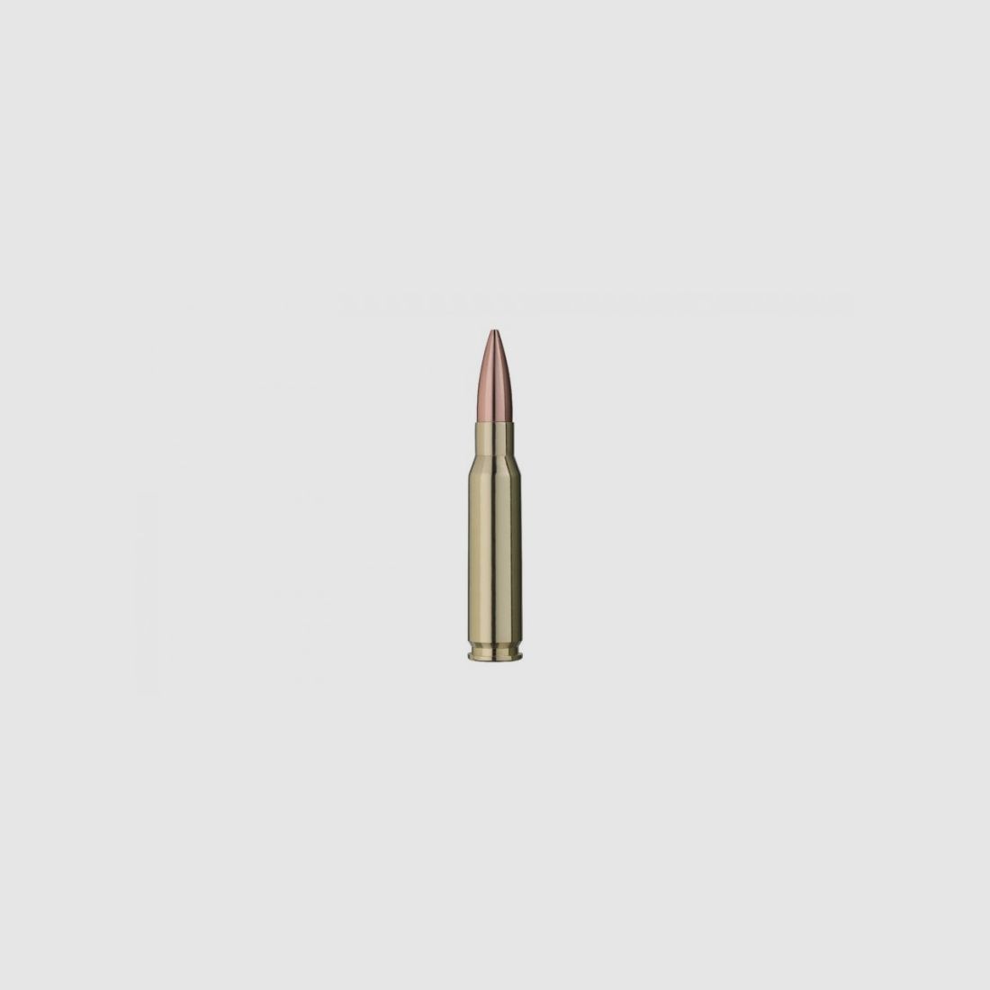 RWS 308 WIN 168 GRS / 10,9 G TARGET ELITE PLUS 20 STK, Bild 2 von 2
