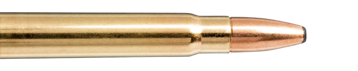 Calibre 9,3x62