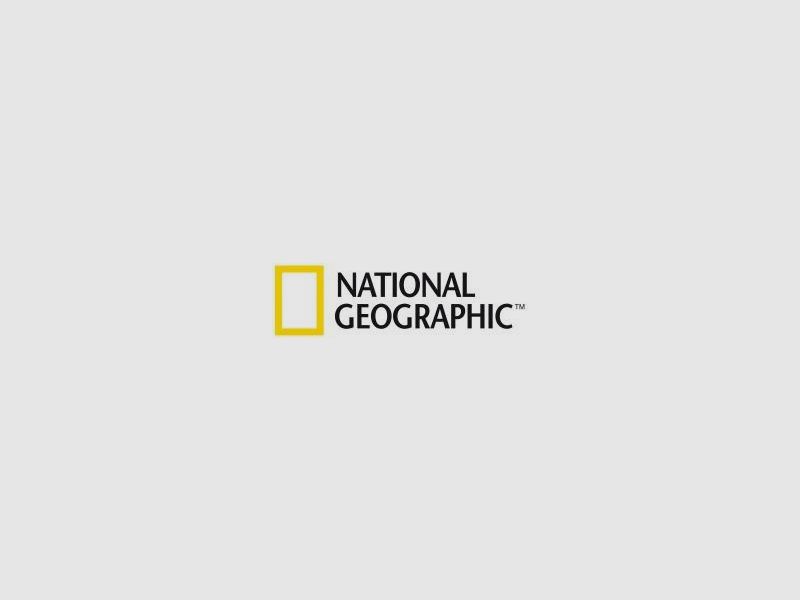 Mikroskop NATIONAL GEOGRAPHIC 40-640x mit Smartphone-Halterung, Bild 19 von 19