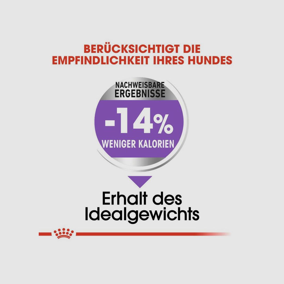 ROYAL CANIN Kastrierte Große Hunde Trockenfutter Sterilised Maxi