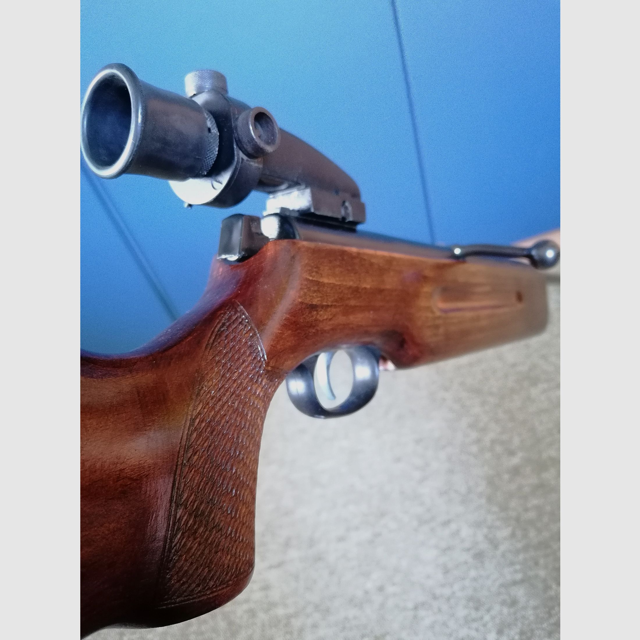 Haenel 311 con dioptero