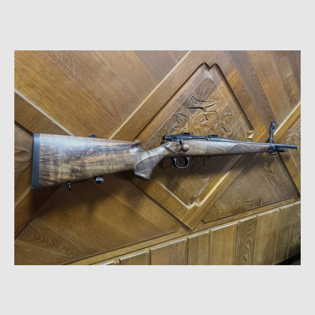 STEEL ACTION HSL .308Win