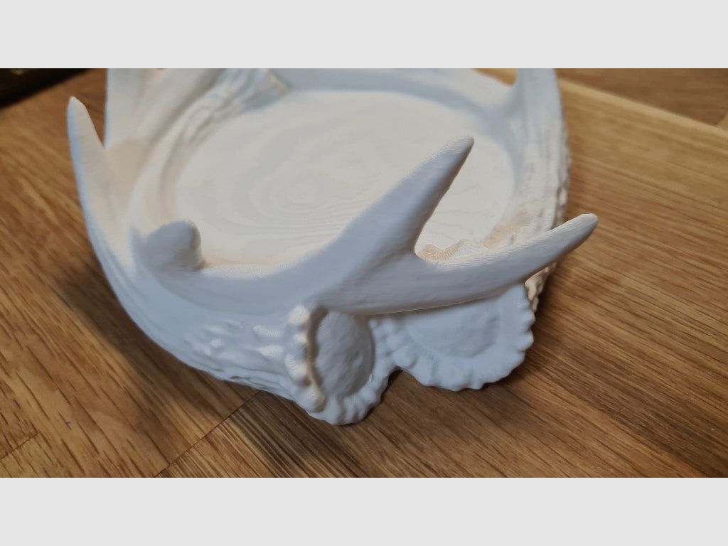 Deko-Schale "Abwurfstangen"