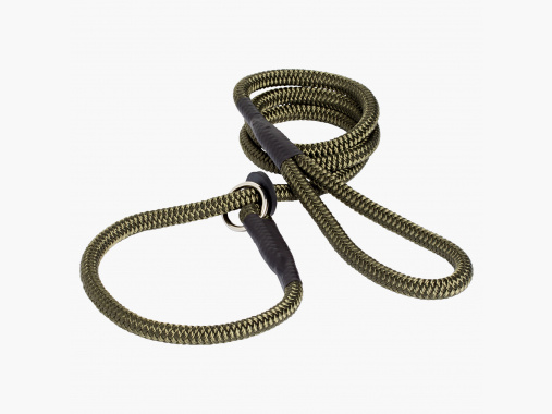 home leash Moxon |