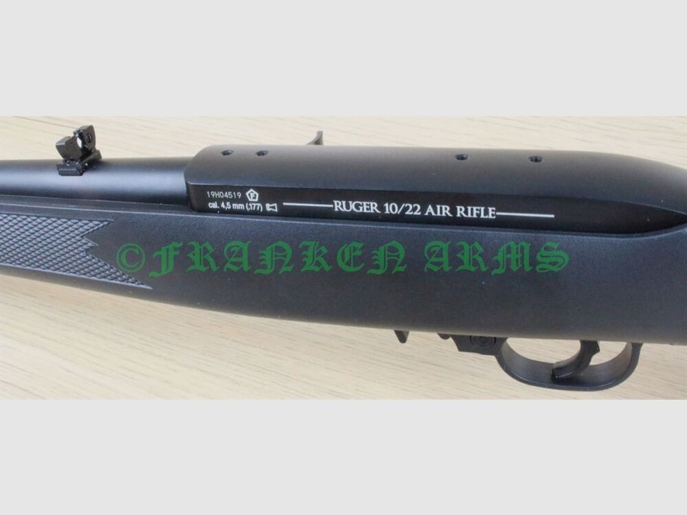 Ruger 10/22 Air Rifle