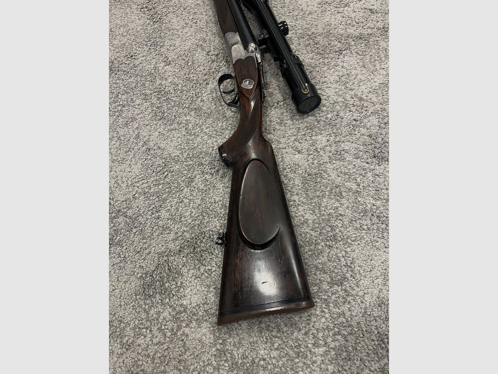Sauer Without