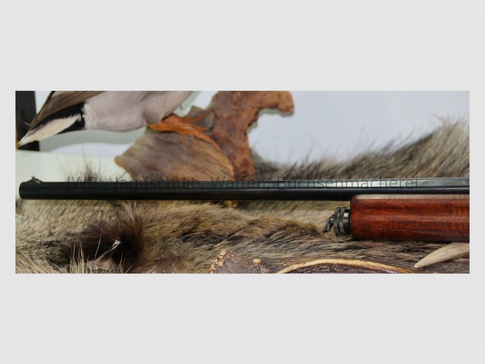 FN avec Docter Sight 16/65