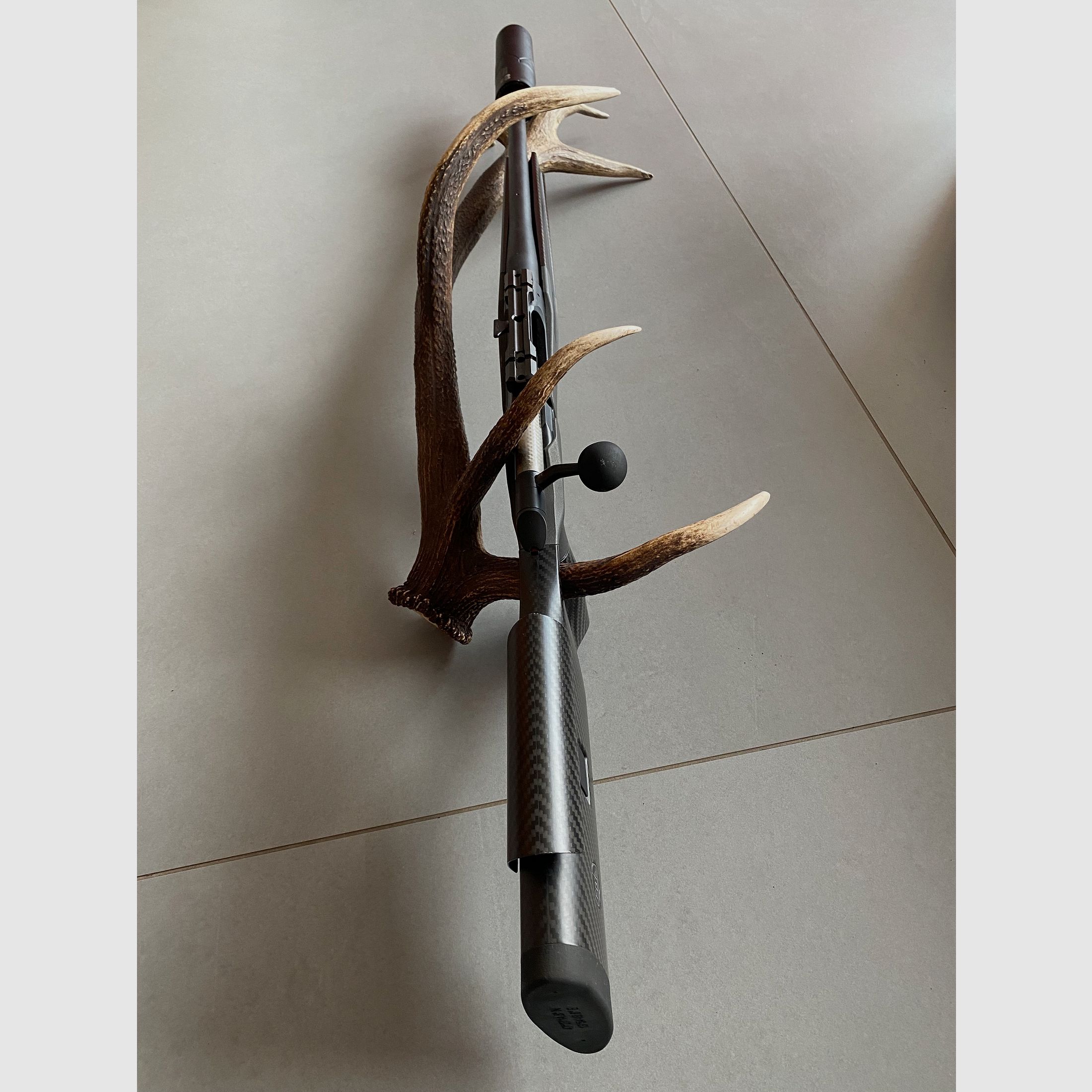 Sauer 202 carbon stock caliber 308