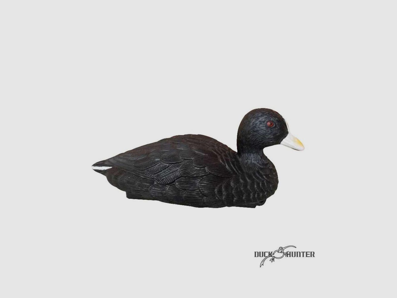 Forme von Foulque