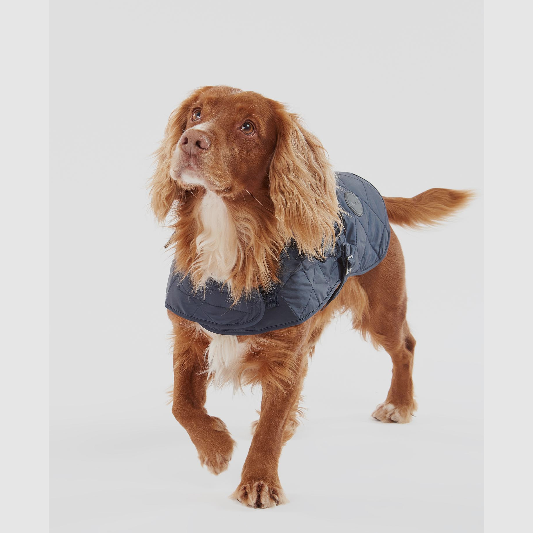 Abrigo para perros Barbour acolchado