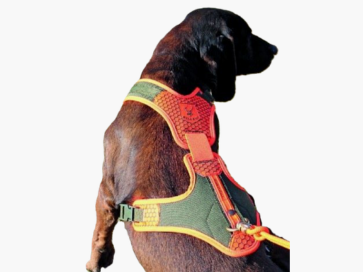 PETTORINA PER CANE DA TRACCIA M