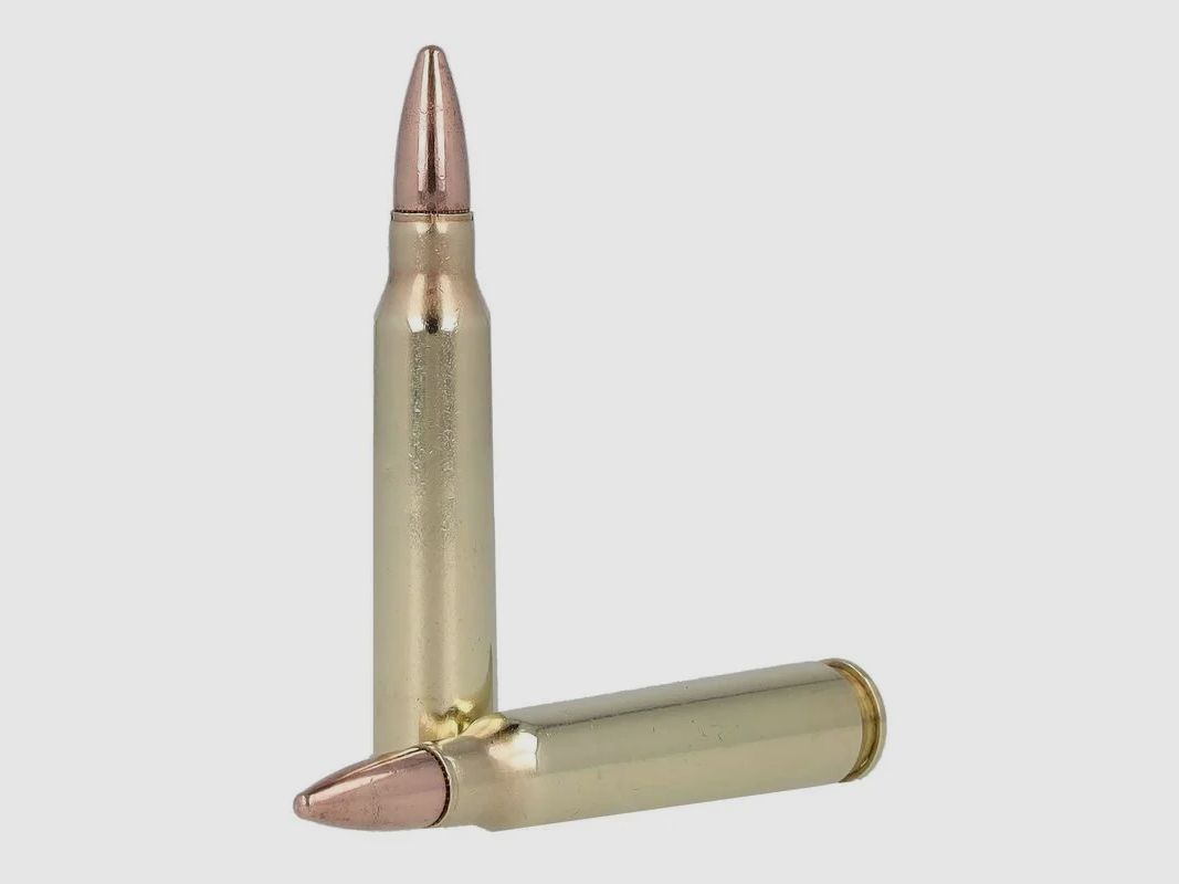 Remington UMC .223 Rem. 55GR FMJ 20 Patronen