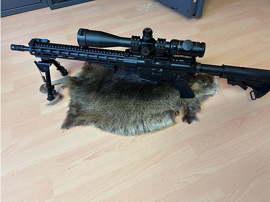 Selbstladebüchse AR15 DPMS Panther Arms mit Zielfernrohr