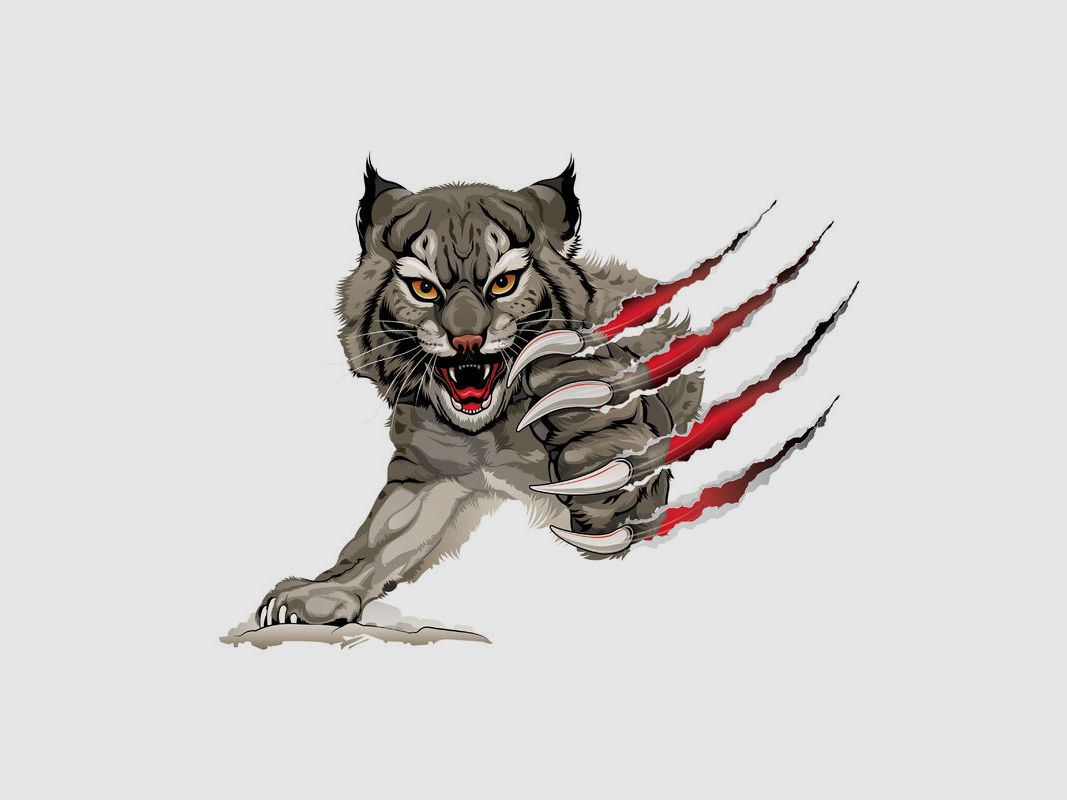 Winchester Wildcat Dynapoint 40gr - 500pz