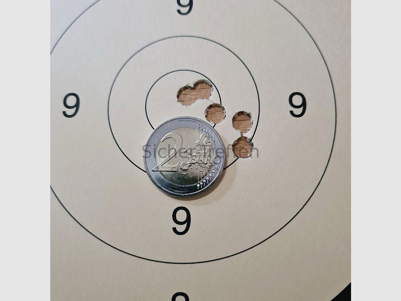 Blaser R93, imagen 10 de 10