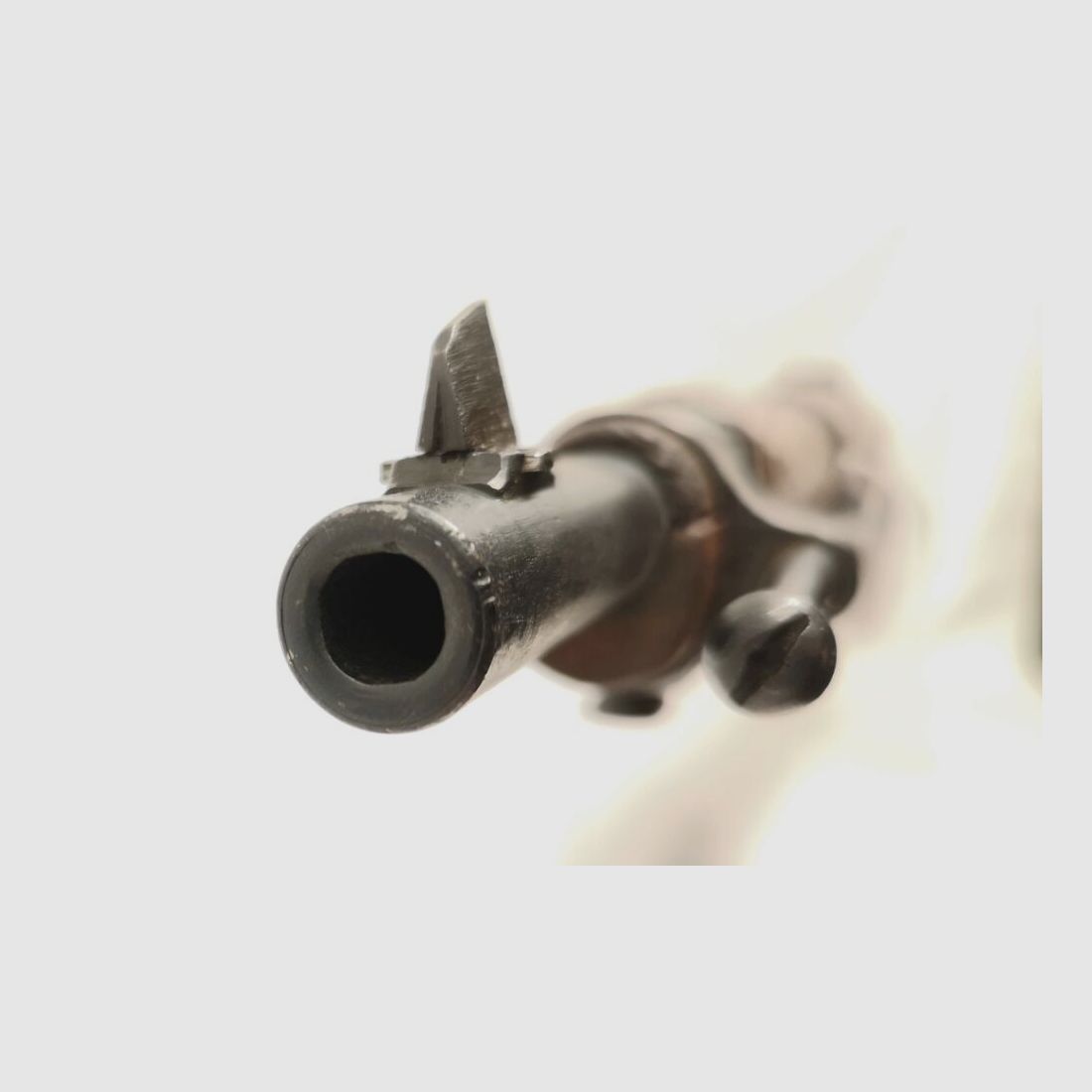 Steyr Mannlicher M95