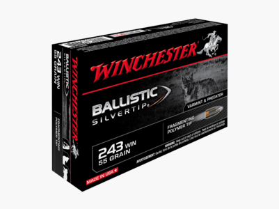 WINCHESTER .243 Win. Ballistic Silvertip 6,16g/95gr
