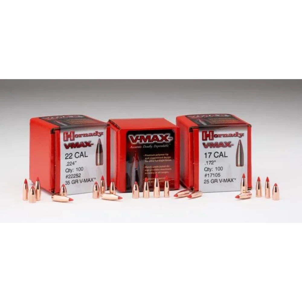 GESCHOSS HORNADY 6MM .243 65 GR V-MAX (100)