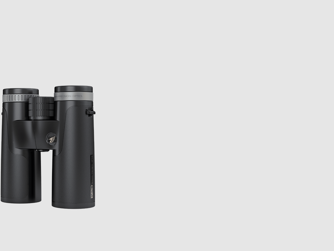 PASSION™ SD 10x42