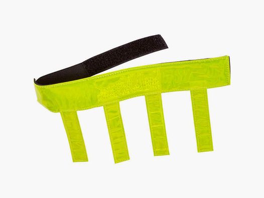 Home signal collar with flags