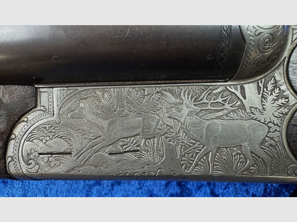 Sauer & Sohn 3000