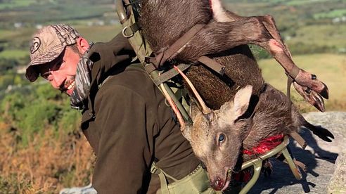 Trailer Jagd in Irland  #Hunting Sika #Sika