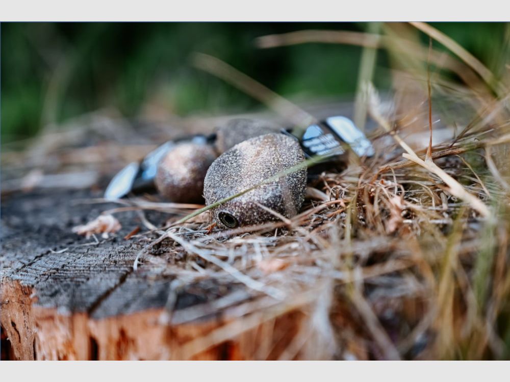 Pera Nash Flat Karpfenblei