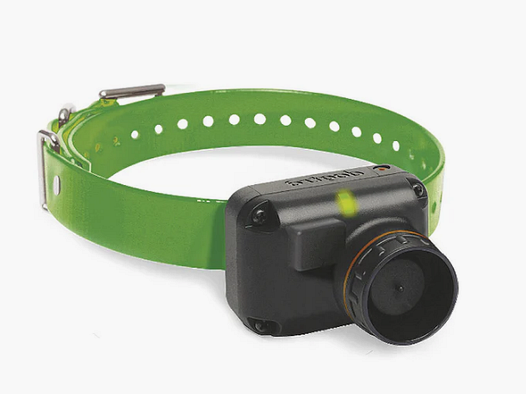 Zusätzliches Halsband Dogtra 2600 T&B