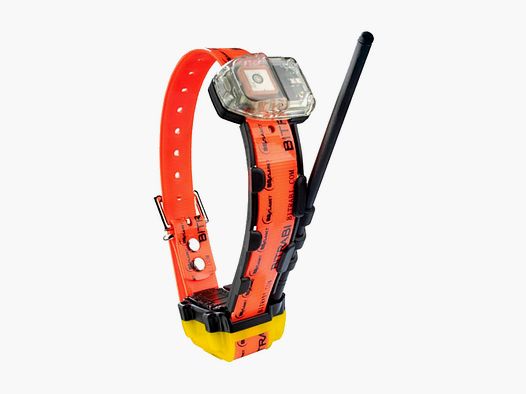 GPS GSM-Halsband für Jagdhunde BITRABI MITO 5300