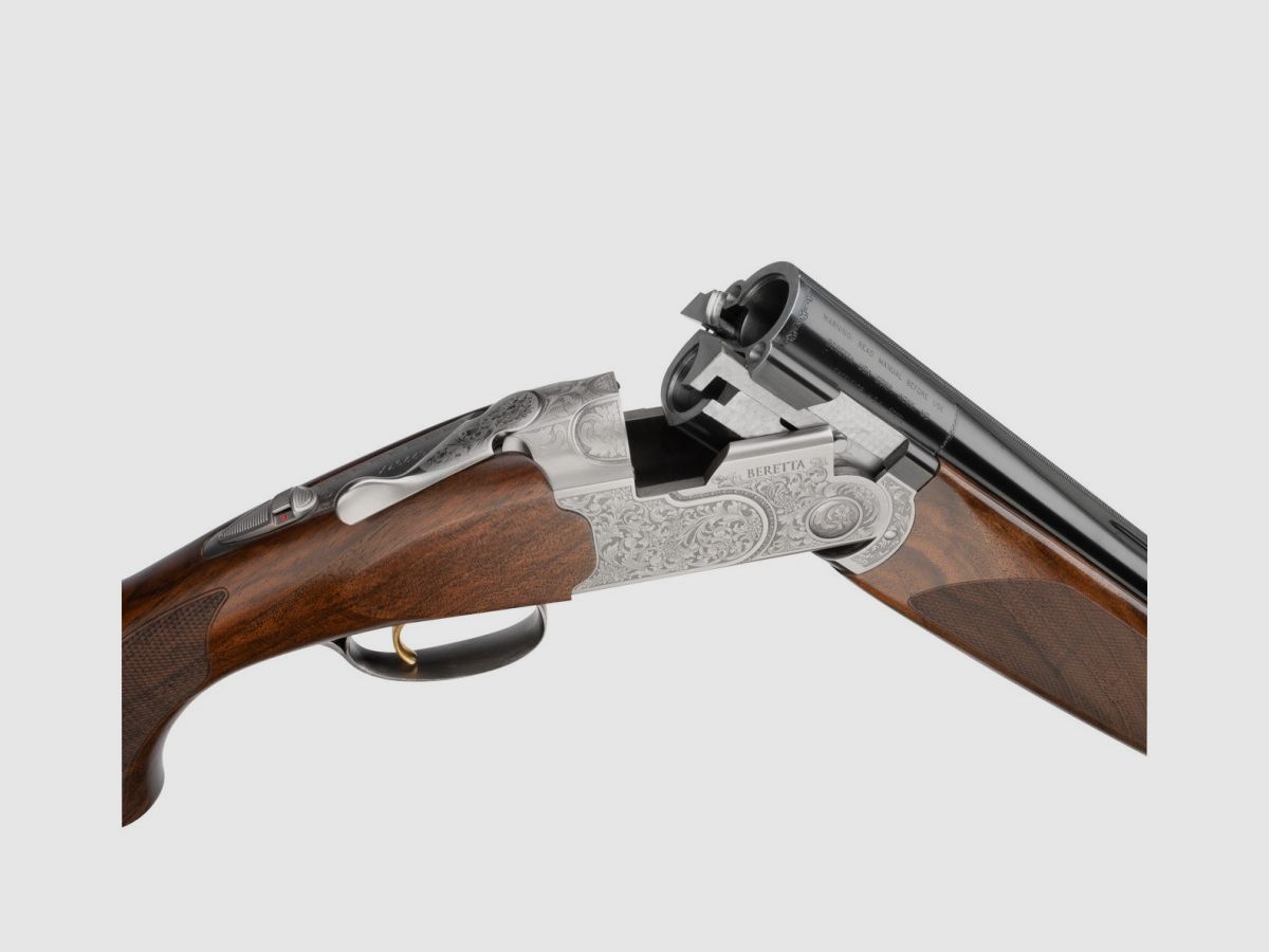 SUP 687 SILVER PIGEON V 12 P MD 71 OCHP, image 2 sur 2