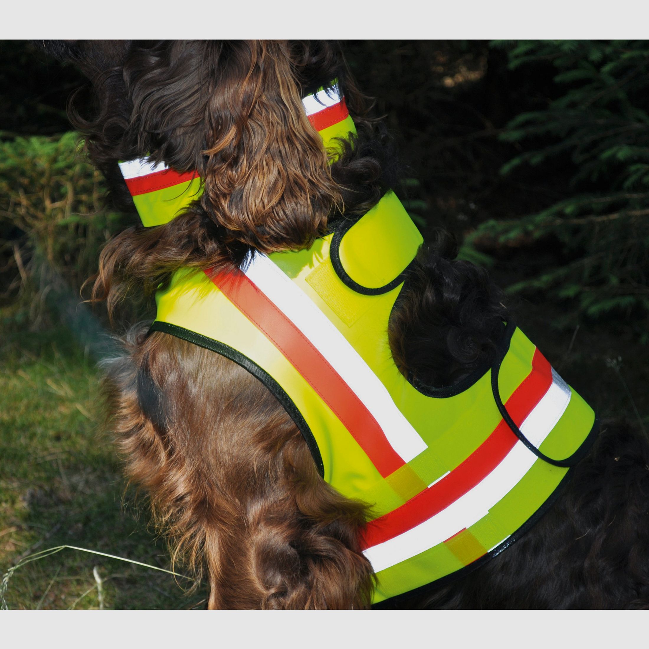 Hundewarnweste