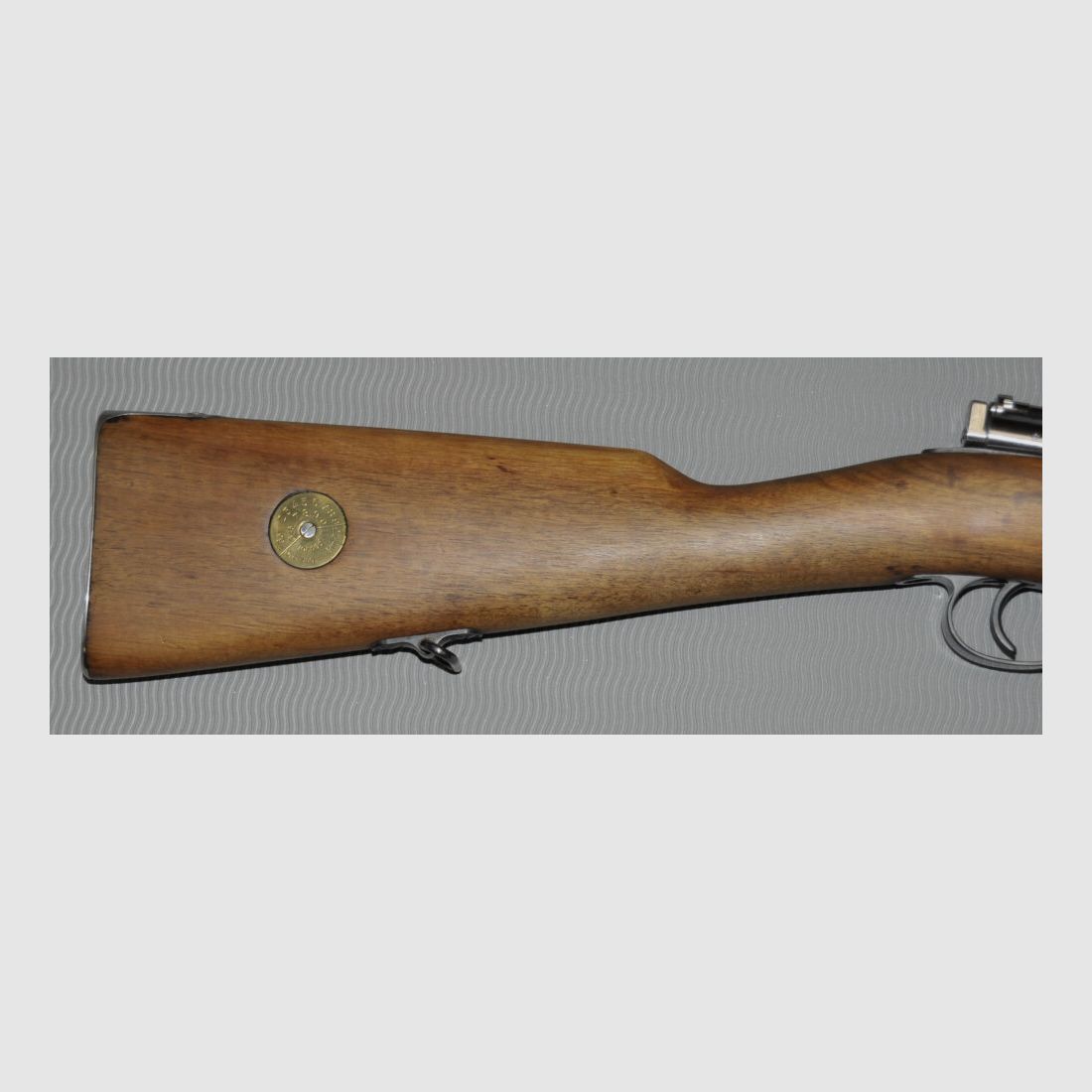 Carl Gustafs M 96