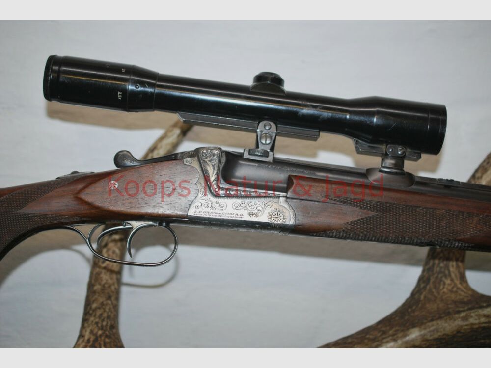 Sauer & Son 54
