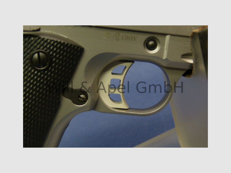 TISAS PC1911, image 8 of 10