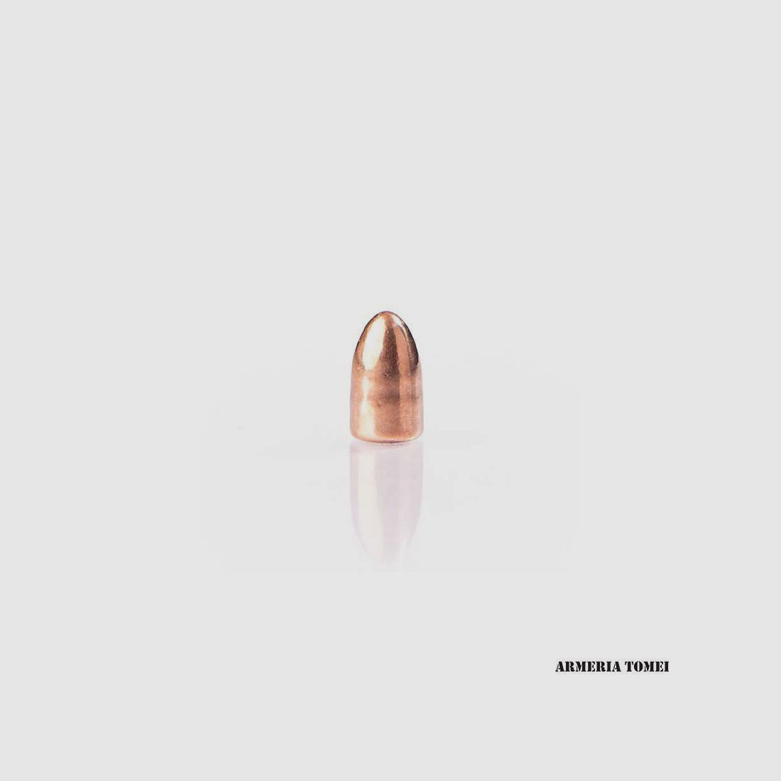 FIOCCHI – PALLE 9mm RNCP 123 .356″ (500 PZ)