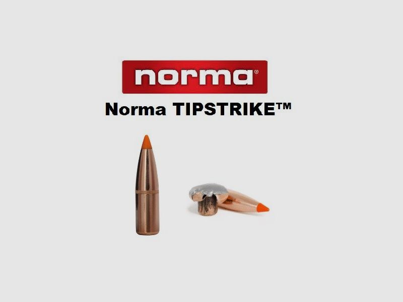 Norma Tipstrike .30 (.308) Geschosse 170 gr