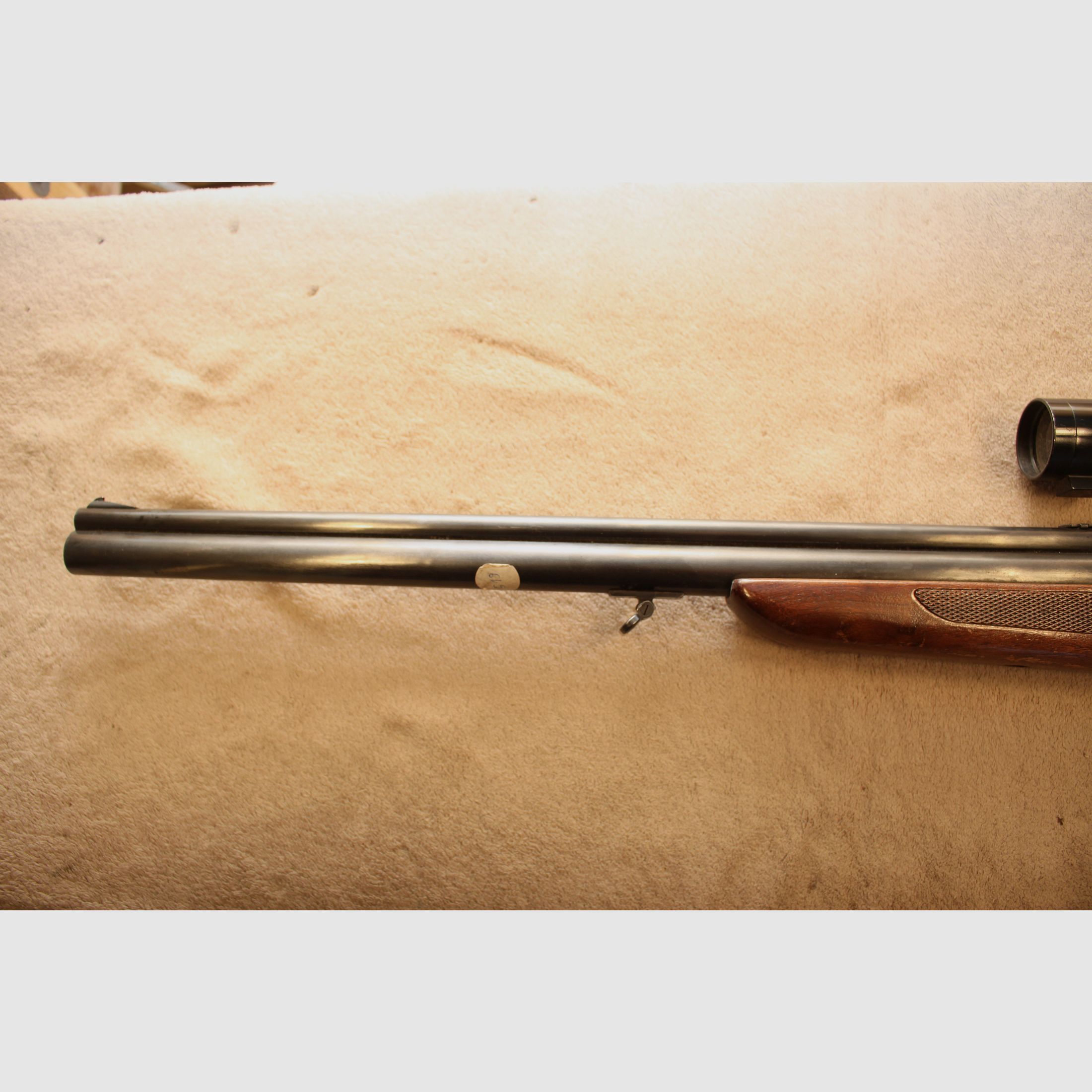 Sachonzeit BBF de Savage.