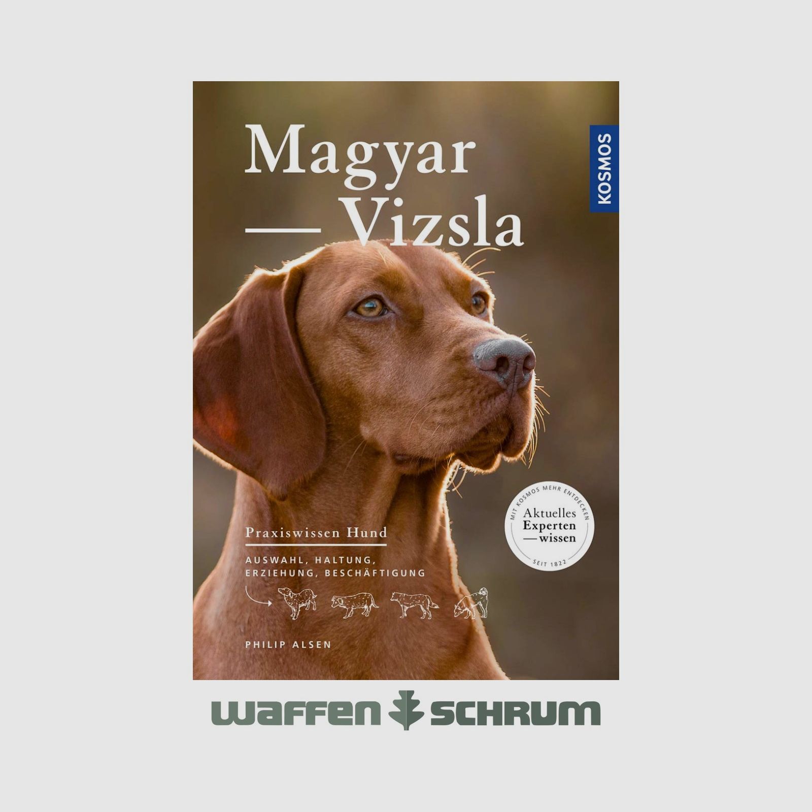 Kosmos Magyar Vizsla Philip Alsen