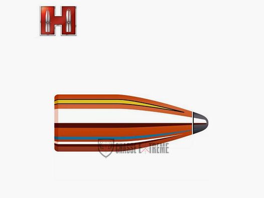 100 Ogives HORNADY 30 cal 308-110 Gr Sp