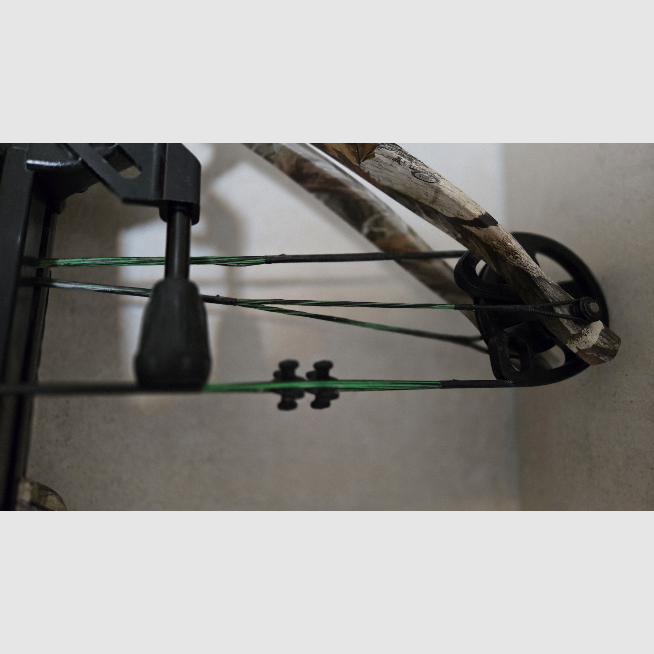 Compound Armbrust Hori-Zone Alpha XT 360 FPS mit optionaler Tenpoint Optik und Easton Carbon Bolzen