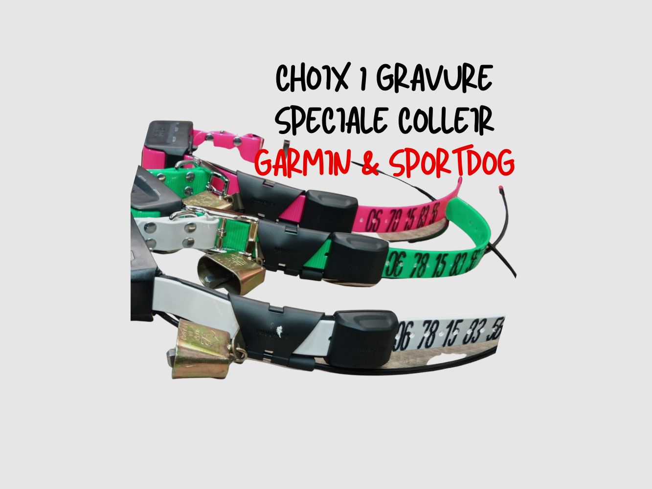 PERSONALISIERTE HUNDGRAVUR SPEZIAL GARMIN / SPORTDOG, Bild 2 von 4