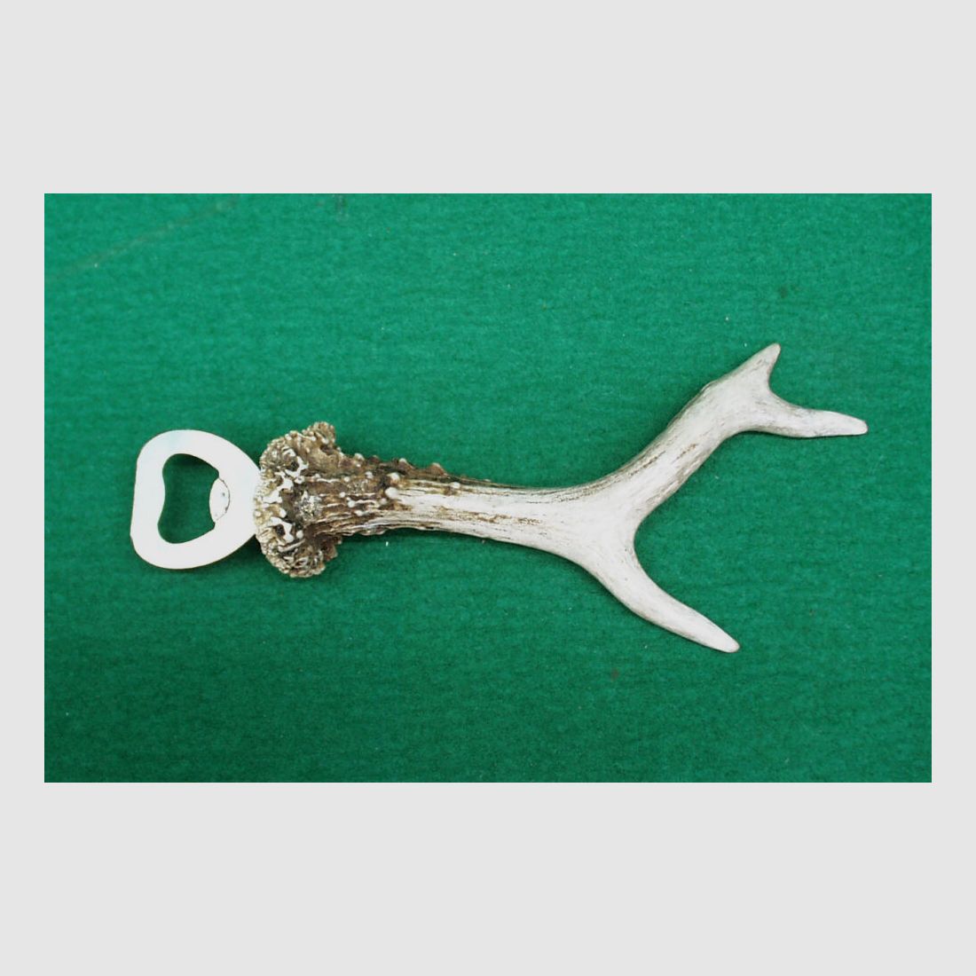 Antler Bottle opener