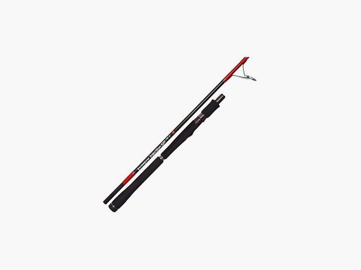 CANNE TENRYU INJECTION SP 76H 2M29 20-60G