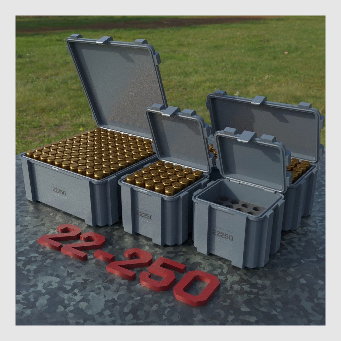 Filamelt scatola per munizioni / .22-250 Remington / 'coperchio a ribalta' / scatola per cartucce, scatola per munizioni