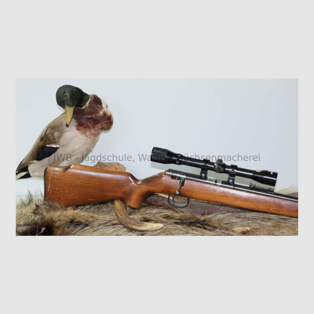 Anschütz 1415 .22lr