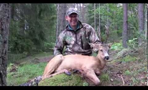 Roebuck Hunting in Sweden / Bockjagd in Schweden (JR Hunting)