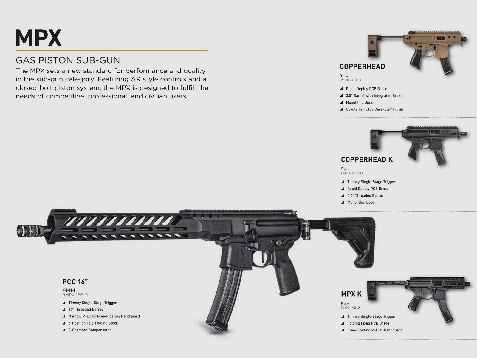 SIG SAUER / CARABINE SEMIAUTO / TUTTI I MODELLI, immagine 4 di 7