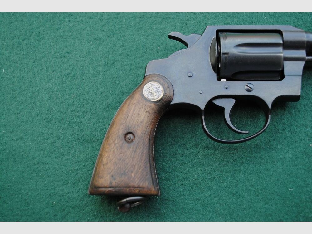 Colt Police Positive Special, Royal Hong Kong Police